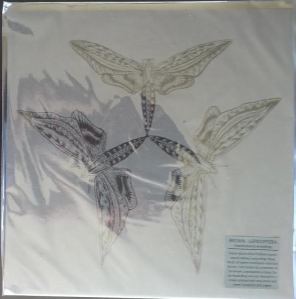 Brown - Lepidoptera LP