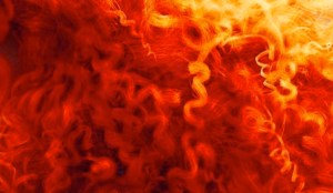 It Looks Like Thousands Of Strands!