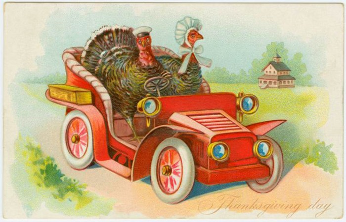 5741_50102_844_thanksgiving_cards_fun