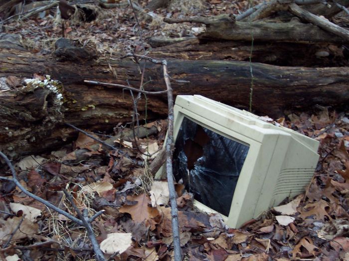 9599059_75eb70edf3_b